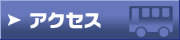 ��ʃA�N�Z�X