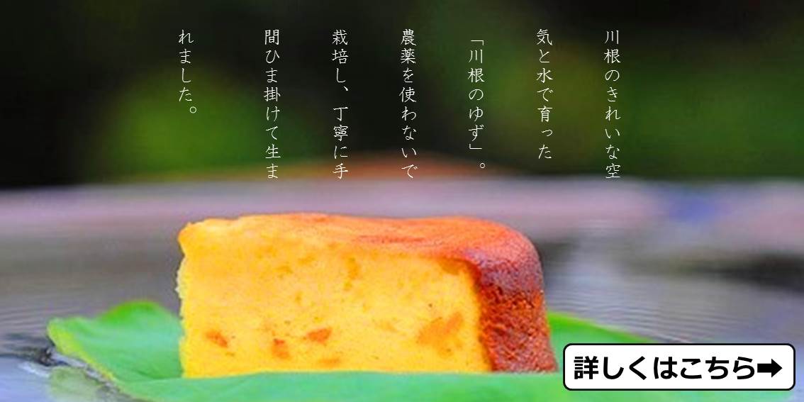 95 柚子ヴぁター.jpg