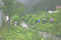 草刈り前