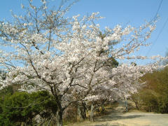 神の倉公園