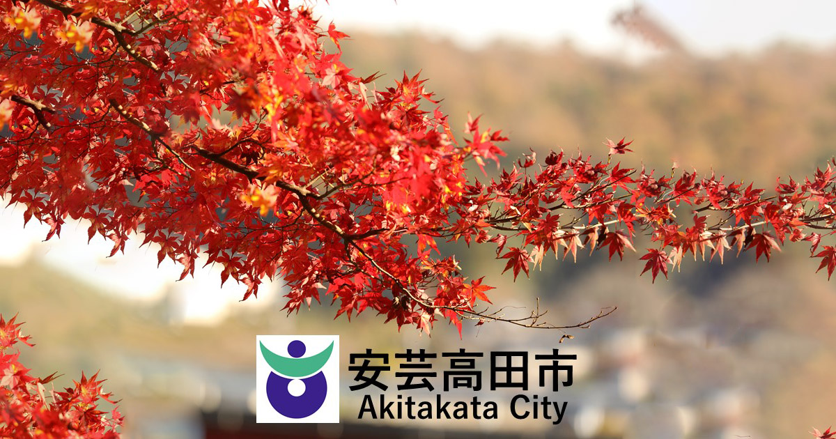 展示芸術の祭典