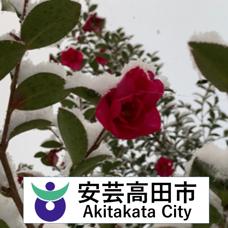 第3回ベトナムテト (Tết Việt 2026)