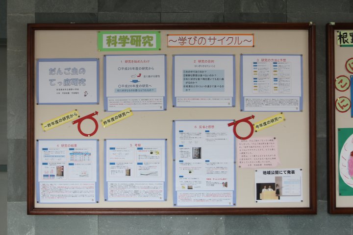 根野小2
