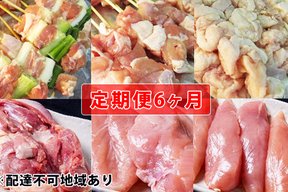 【定期便6ヶ月】広島熟成鶏セット・串入り