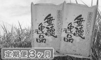 コシヒカリ真空3ヶ月10㎏.jpg