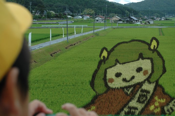 写真6