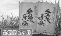 コシヒカリ真空2ヶ月10㎏.jpg
