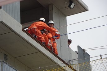 ブリ救