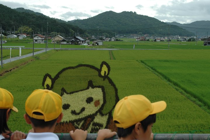 写真5