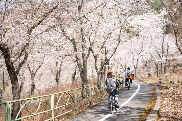 定住トップ画像