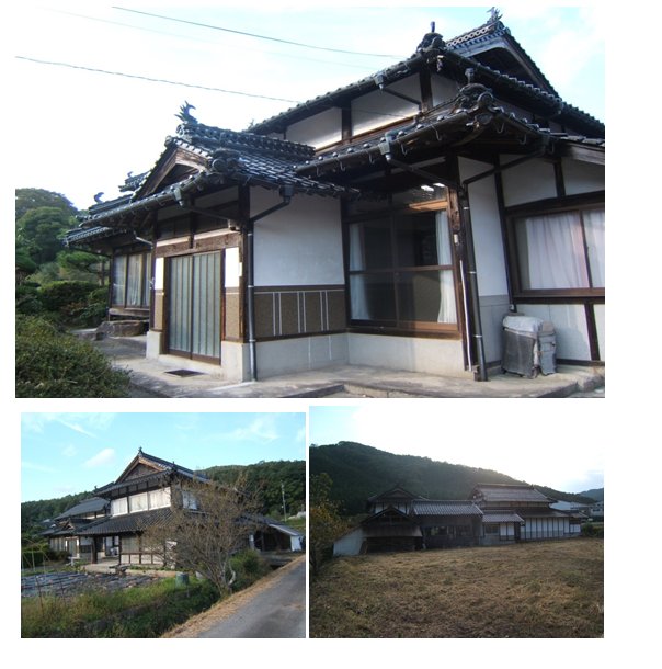 詳細情報239