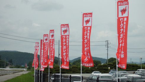 ワクナガレオリック応援幟旗