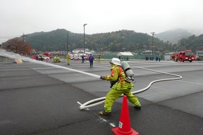査閲4