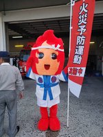 ひのすけ写真