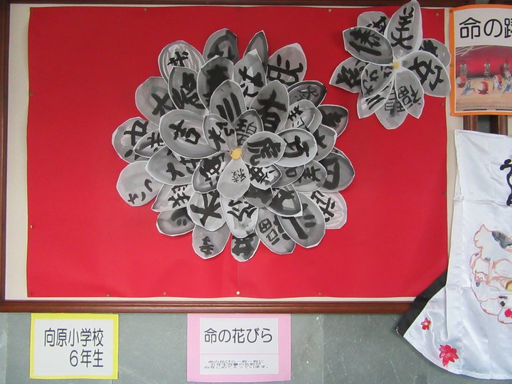 向原小2