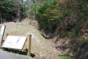 大通院谷遺跡(薬研堀跡)